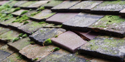 Wilburton roof repair costs